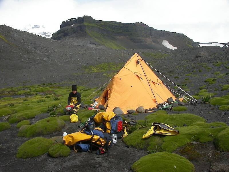 A woman sits outside a yellow polar pyramid tent, pitched amongst green tussocks on black gravel. Camping gear is piled in front of the tent.