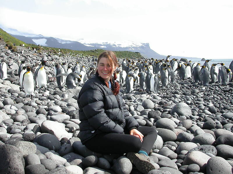 A woman sitting on rocks with a large group of King penguins behind her