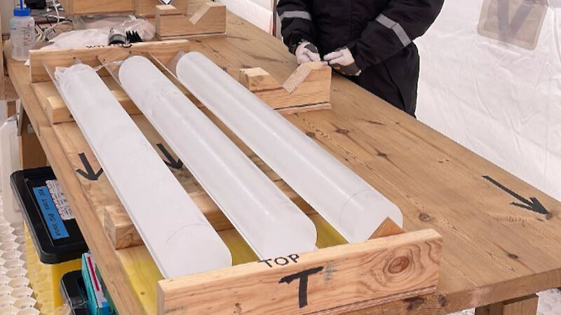 A woman stands beside a wooden bench on which sits three metre-long ice cores.