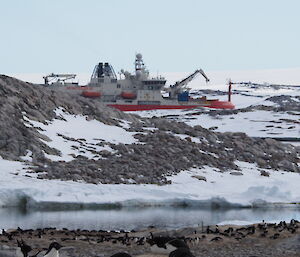A red and white ship in the background with a group of small penguins in the foreground