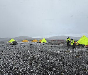 Six bright yellow tents on a grey rocky plain with light snow cover