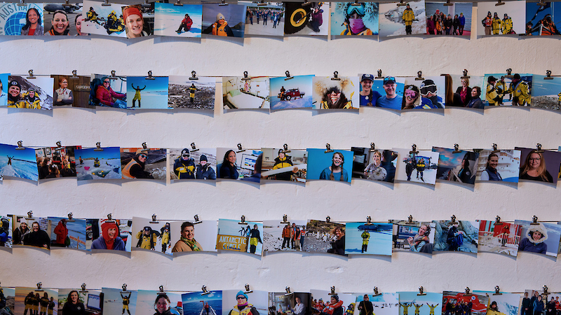 A collage of photos of different women doing things in Antarctica.