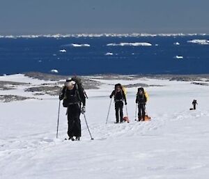 Three skiers in the foreground, two towing sleds, and a fourth skier in the distance also towing a sled, with views of the water