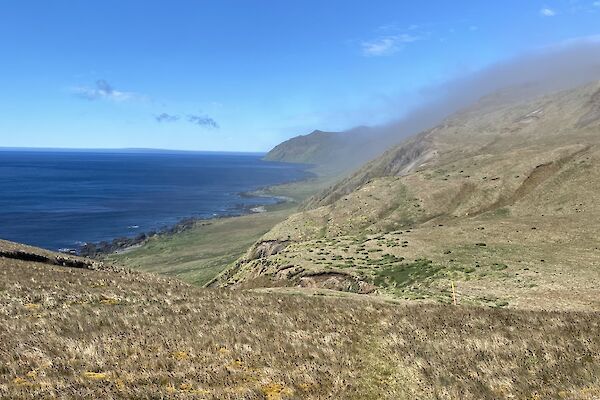 A grassy, hilly landscape abuts the edge of the blue ocean with blue cloudless skies above.
