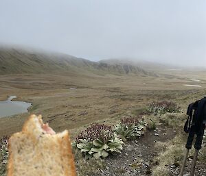 A half-eaten toasted sandwich held up in the foreground with a flat valley containing lakes in the midground and hills flanking the valley in the background.