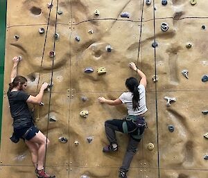 Two climbers ascend an indoor Rock Climbing Wall