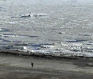In the distance a runner in black shorts and shirt runs along a black beach, in front of sea ice