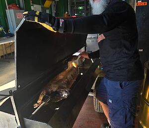 A man standing beside a roasting rack of meat on a spit.