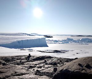 View of white ice cliffs and sea ice, with some brown rocks in the foreground.