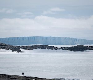 A vast ice cliff in the distance of the photo, with rocky outcrops in the foreground poking out of sea ice.