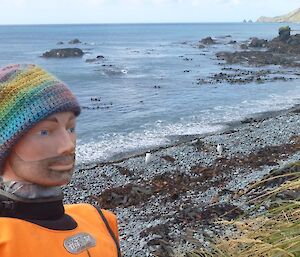 A life sized dummy used for emergency training wears a handmade multi-coloured beanie while posing on a pebbly beach with the ocean, penguins and distant hills visible in the background.