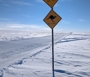 A yellow sign in the snow saying "No fuel" and "Kangaroos"