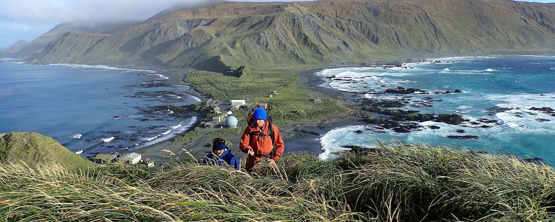 Black and white image of ecologist searching among the tussock grass with coastline view behind